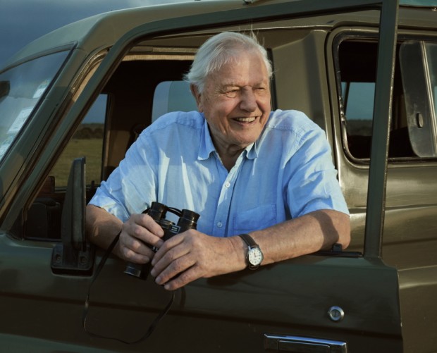 BBC takes over Spotify to promote Sir David Attenborough's latest series