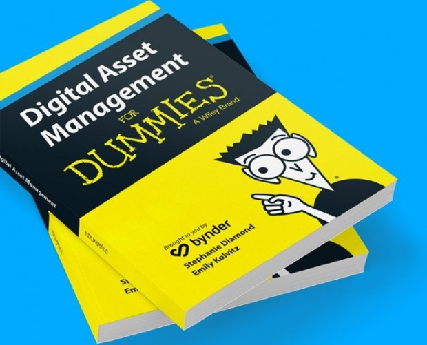 Digital Asset Management for Dummies