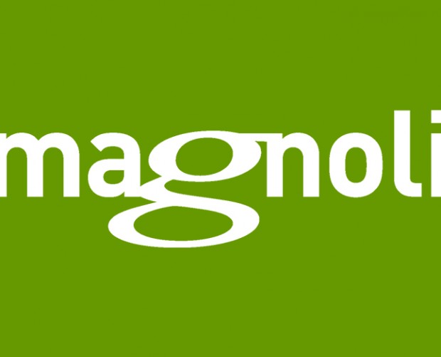 Magnolia launches major content management software update 