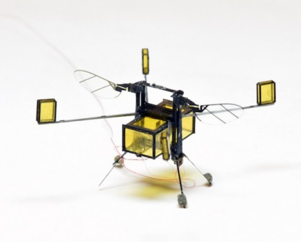 Innovation Lab: Swimming RoboBees, Martian Igloos and Army Drone Swarms